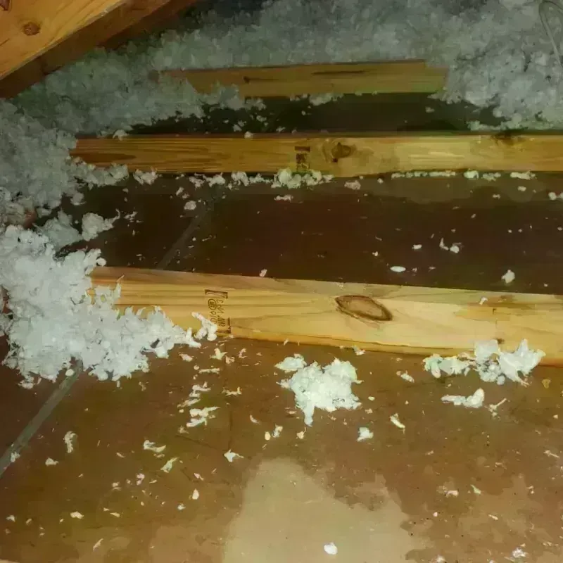 Attic Water Damage in Lyman, SC