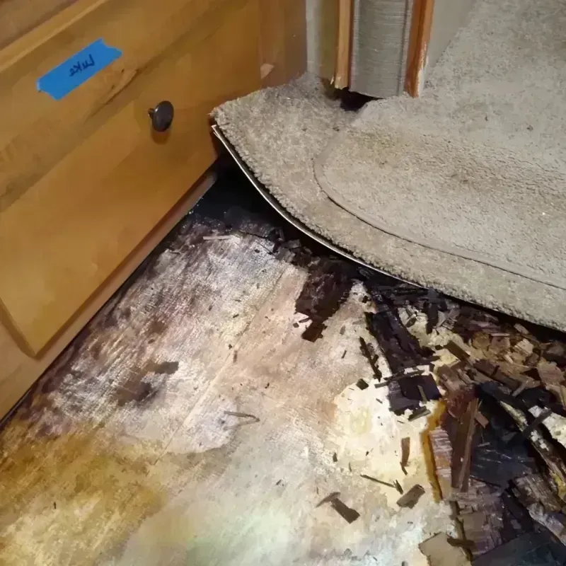 Wood Floor Water Damage in Lyman, SC